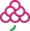 Logo Icon logo icon