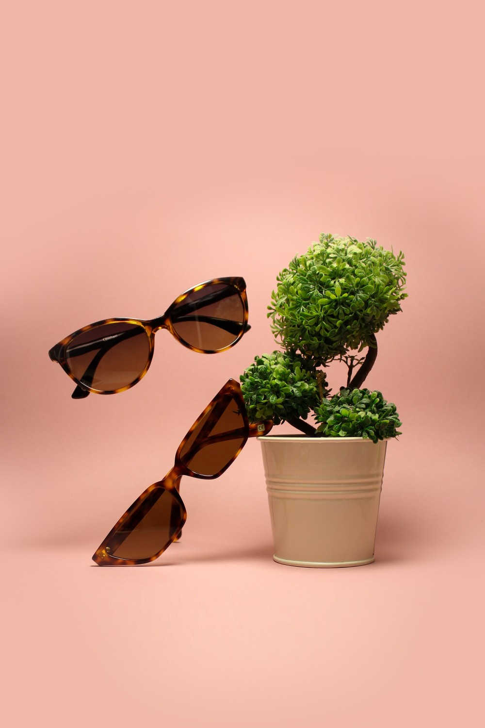Branded Sunglasses